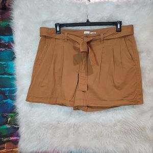 A New Day Brown Shorts Size 18